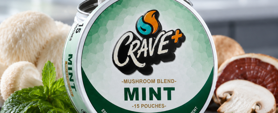CRAVE Mushroom Pouches (Cool Mint): 600mg Zero-Nicotine Adaptogen Blend